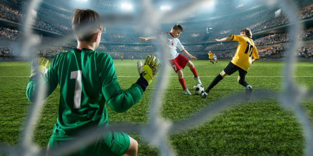 是具备这样 是具备这样