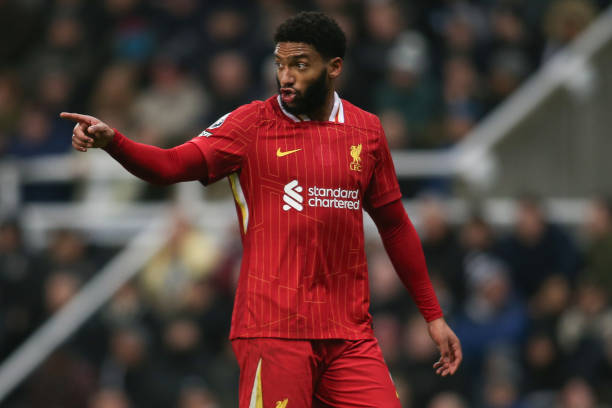 期选择聘请 期选择聘请